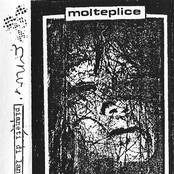 Pianeti Di Lana 3 (Molteplice Enarmonico)