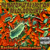 Bacterial Domination