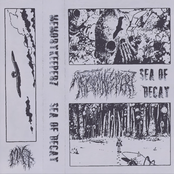 ・𝐒𝐄𝐀 𝐎𝐅 𝐃𝐄𝐂𝐀𝐘・