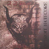 R.M.V. (LP) Racially Motivated Violance