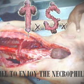 Kill to Enjoy the Necrophilia