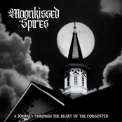 A Journey Through the Heart of the Forgotten