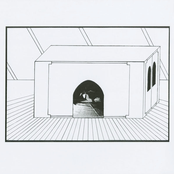 Fearful Sunshine Filtering Through Foliages