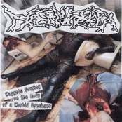 Maggots Gorging on the Body of a Morbid Specimen
