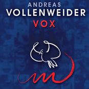What If It Wasn't A Dream? by Andreas Vollenweider