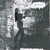 Im Heidenwald Elfgaards