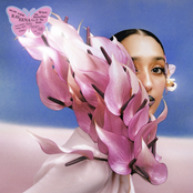 Where the Butterflies Go in the Rain (Deluxe)