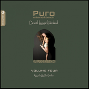 Puro Desert Lounge, Vol. 4 (Puro Urban & Beach)
