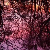 'Tomorrow'  (6 more songs!) DOWNLOAD ONLY BONUS SONGS