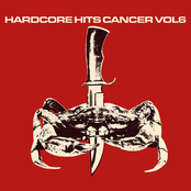 Hardcore Hits Cancer Vol. 6