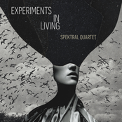 Spektral Quartet: Experiments in Living