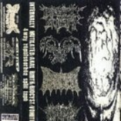 4 Way Repulseorhea Split Tape