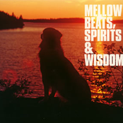 Mellow Beats, Spirits & Wisdom
