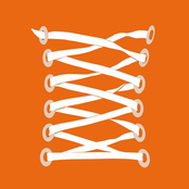 Nuits blanches avec un hibou sage