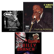 carey bell, billy branch, phil wiggins