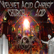 Dead Flesh by Velvet Acid Christ