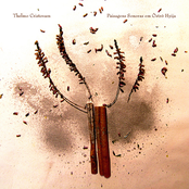 Paisagens Sonoras em Õstrõ Hyija