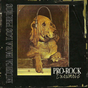 Musica para los Perros
