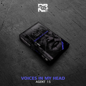 Voices In My Head