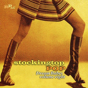 Dream Babes Volume 8: Stockingtop Pop