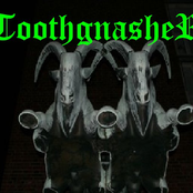 toothgnasher