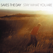 Saves the Day: Stay What You Are