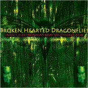 Broken Hearted Dragonflies: In