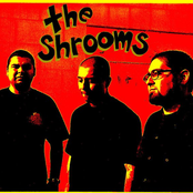 the shrooms