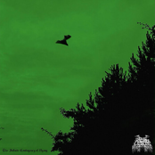 The Infinite Contingency of Agony