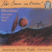 Libre comme un oiseau