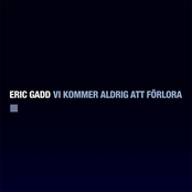 Vi Kommer Aldrig Att Förlora by Eric Gadd