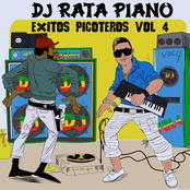 Exitos Picoteros, Vol. 4