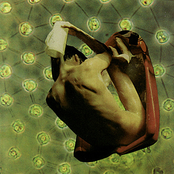 Contorted In Deep Space