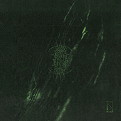 Through The Prism Of Flesh EP