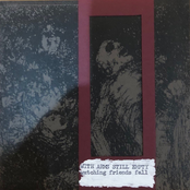 Watching Friends Fall