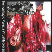 Hemorrhagic Pyrexia Virus / Hydrocephalus