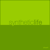 Synthetic Life