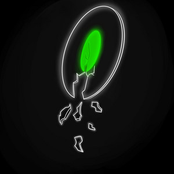 Through the Trees - EP