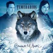 Los Temerarios: Camino Del Amor
