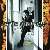 No One Said Goodbye by Eric Martin