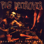 Seven And Thirteen by Pig Destroyer