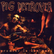 Sheet Metal Girl by Pig Destroyer