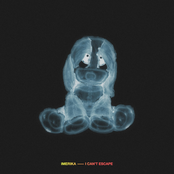 I Can't Escape - Single