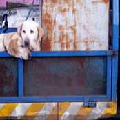 Alles kann viel sein EP