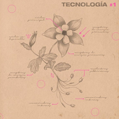 Tecnología #1