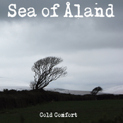 Cold Comfort