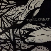 We're Just Doing Our Best