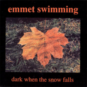 Emmet Swimming: Dark When the Snow Falls