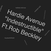 Indestructible (feat. Rob Beckley) - Single