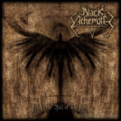 Under the Veil of Darkness
